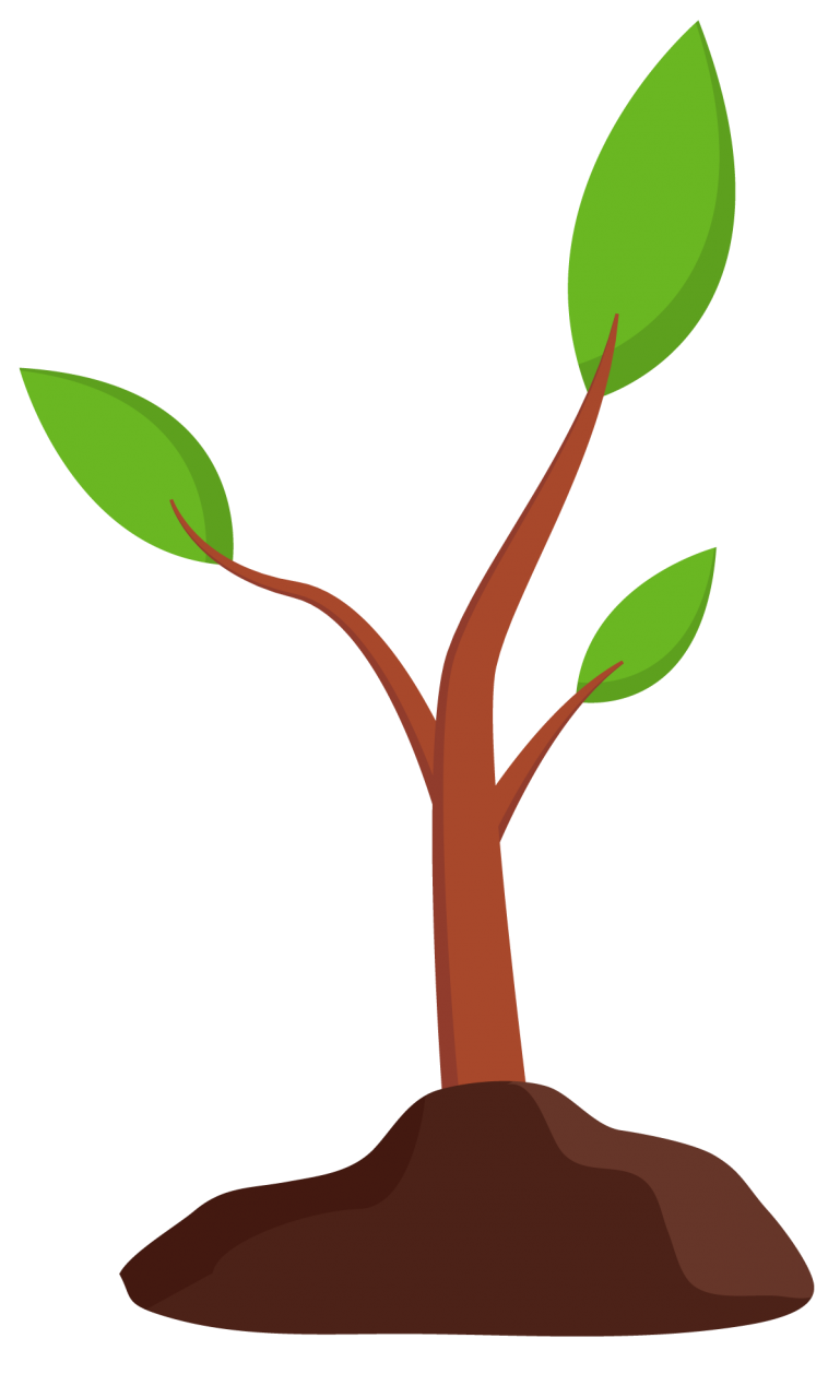 Illustration of a small growing plant.