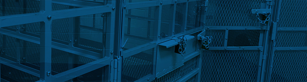 Detention cells with cage walls and doors