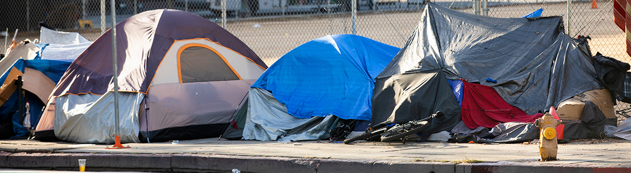 A row of homeless tents on the side of the street. 