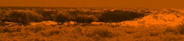 Ocean waves on a beach