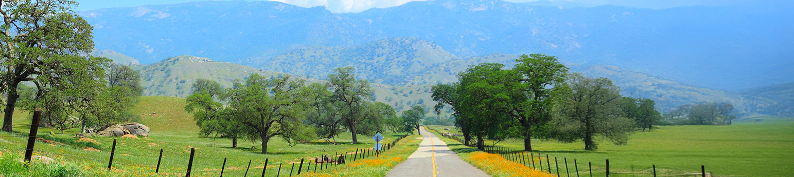A straight road in countryside landscape of Tulare County. There is a lot of green grass, trees and a view of the mountains.