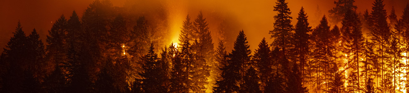 A wildfire burning at night.