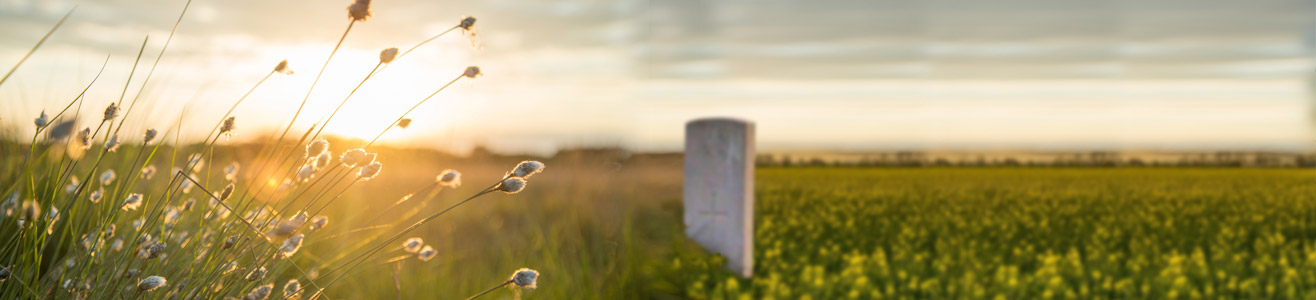 A lone tomb stone in a large field with the sun setting in the background.