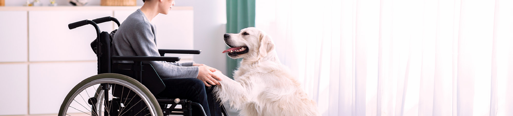 A person with disabilities petting their beloved puppy.