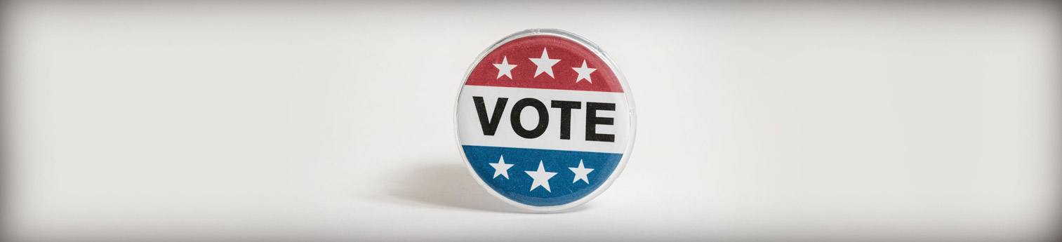 I single voting pin on a white background. The word VOTE is on it.