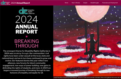 Cover of 2024 DRC Annual Report