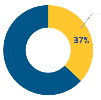 Pie chart showing 37%.