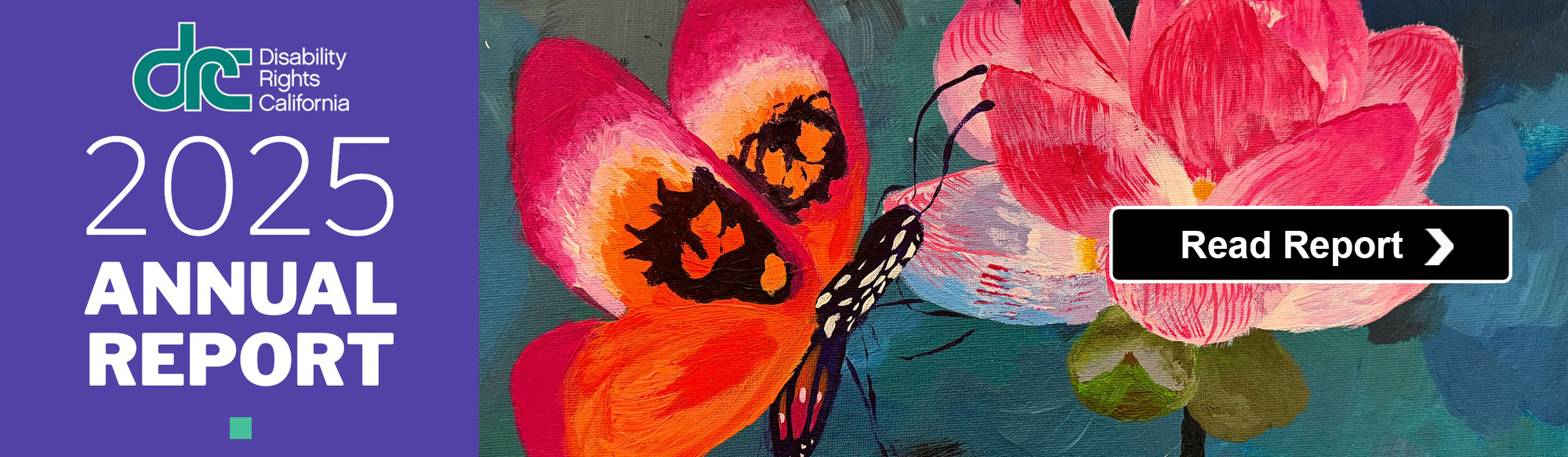 Text: DRC 2025 Annual Report. Breaking Through. Photo: Painting of the butterfly sitting on a flower.