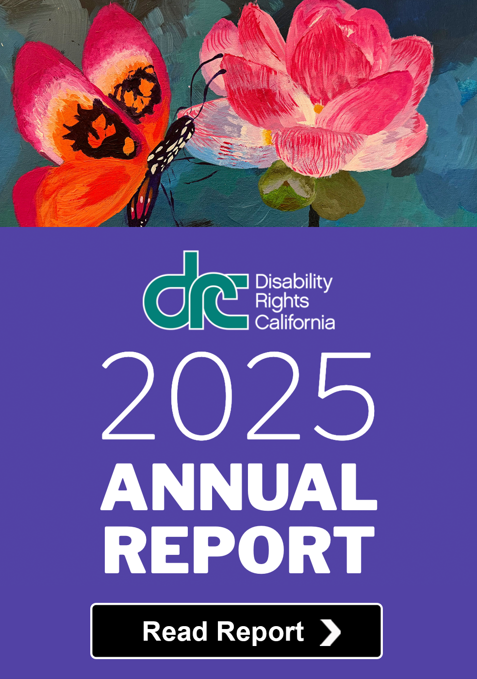 Text: DRC 2025 Annual Report. Breaking Through. Photo: Painting of the butterfly sitting on a flower.