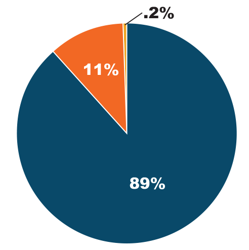 Pie chart showing 89% Program Services, 11% General and Administrative and .2% Fundraising.