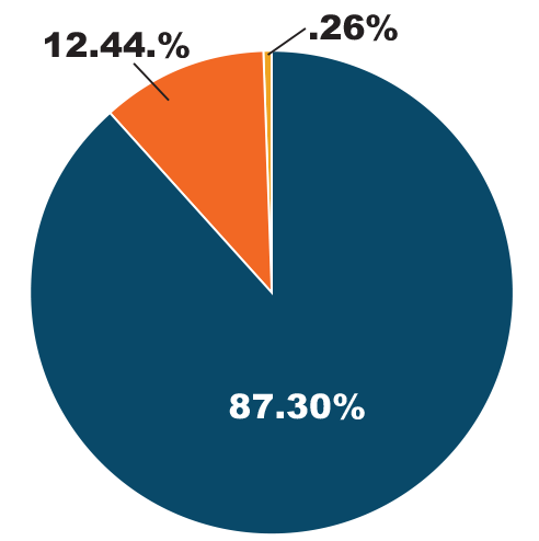 Pie chart showing 87.3% Program Services, 12.44% General and Administrative and .26% Fundraising.