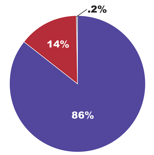 Pie chart showing 87.3% Program Services, 12.44% General and Administrative and .26% Fundraising.