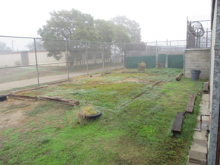 A section of the yard at KCJC, which is a patch of grass surrounded by high chain-link fences some of which are topped with barbed wire.