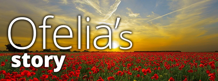 Ofelia's Story - Photo of a sunset over a field of flowers.