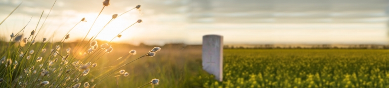 Image of memorial stone in a large field.