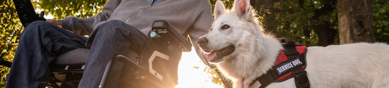 Man with disability and service dog in a field.
