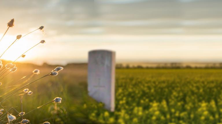 Photo of a lone tombstone in a grassy field as the sun sets.